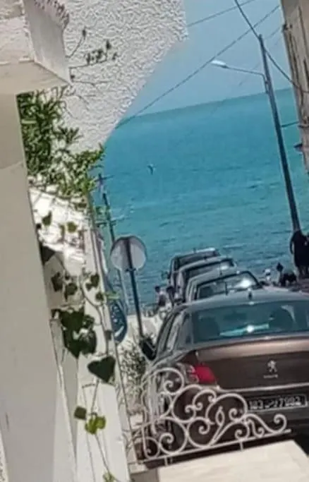 Appartement La Marsa location